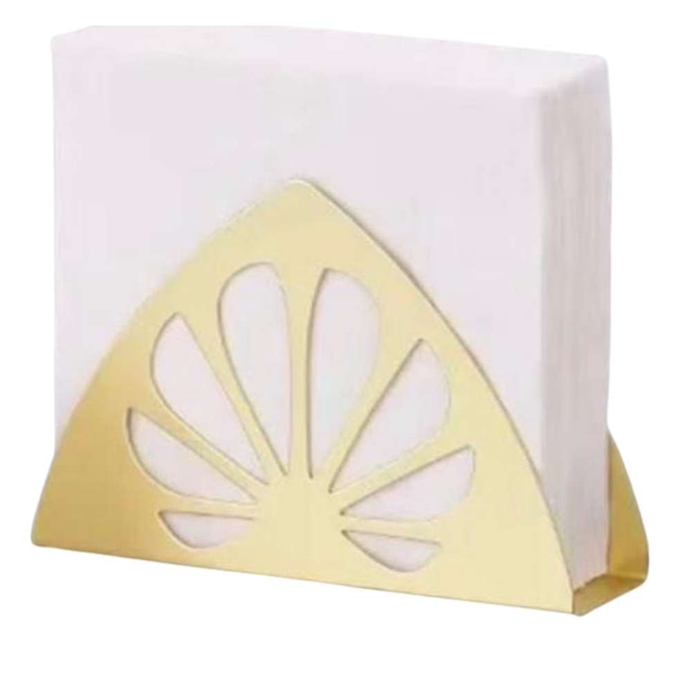 Stainless Steel Tissue Holder | Golden | Gray | Black Mate